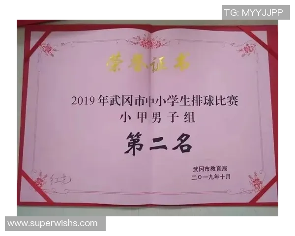 排球心理素质评比揭晓上海排球队荣获第二名成就引关注